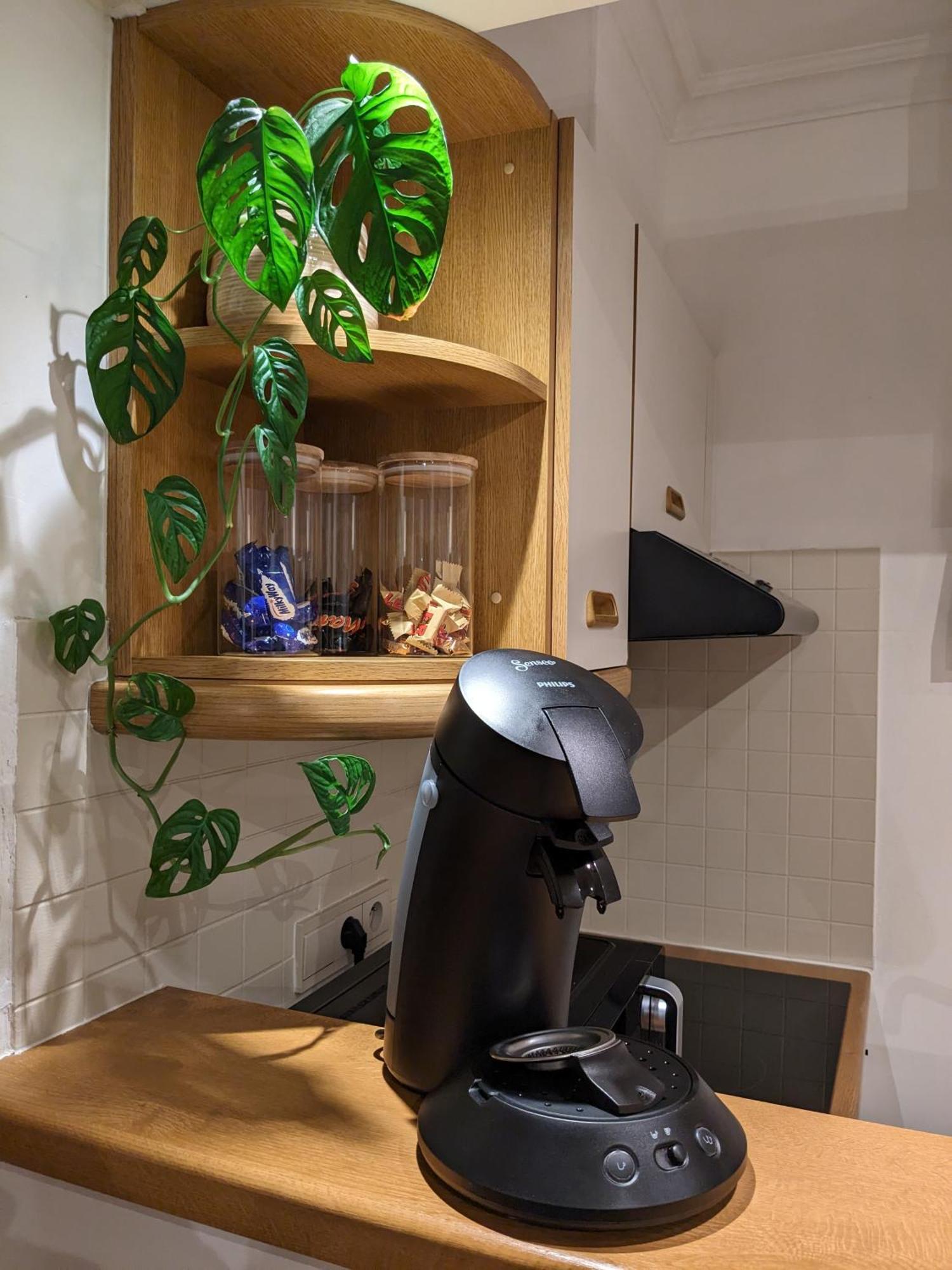 Vista Linda, Leuk Appartement Vlak Bij Zeedijk En Strand ออสเทนด์ ภายนอก รูปภาพ