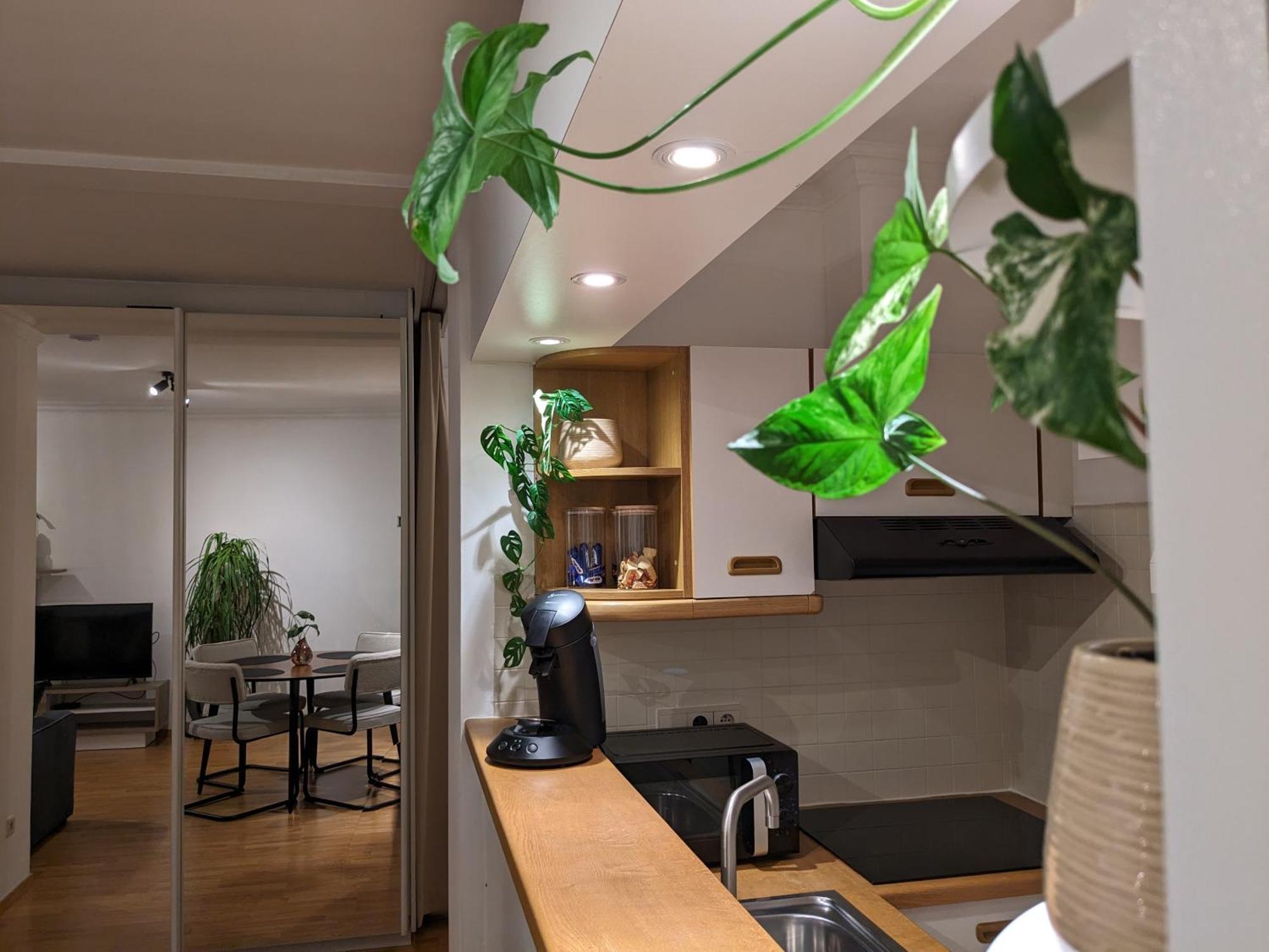 Vista Linda, Leuk Appartement Vlak Bij Zeedijk En Strand ออสเทนด์ ภายนอก รูปภาพ